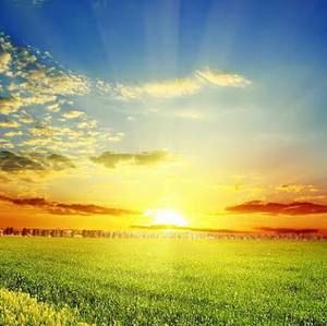 Meet your Posher, Saba